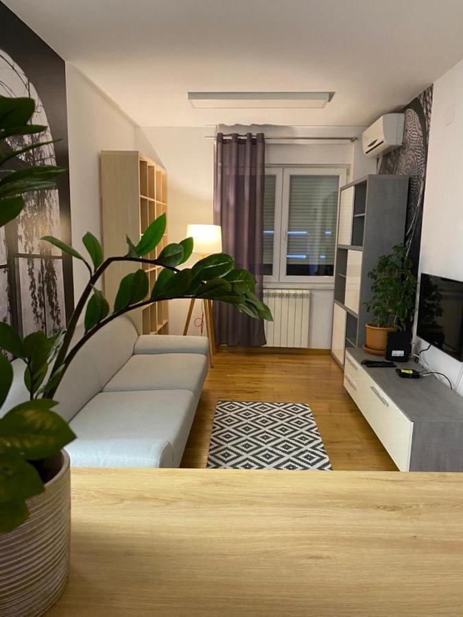 Benvenuti Apartments بلغراد المظهر الخارجي الصورة