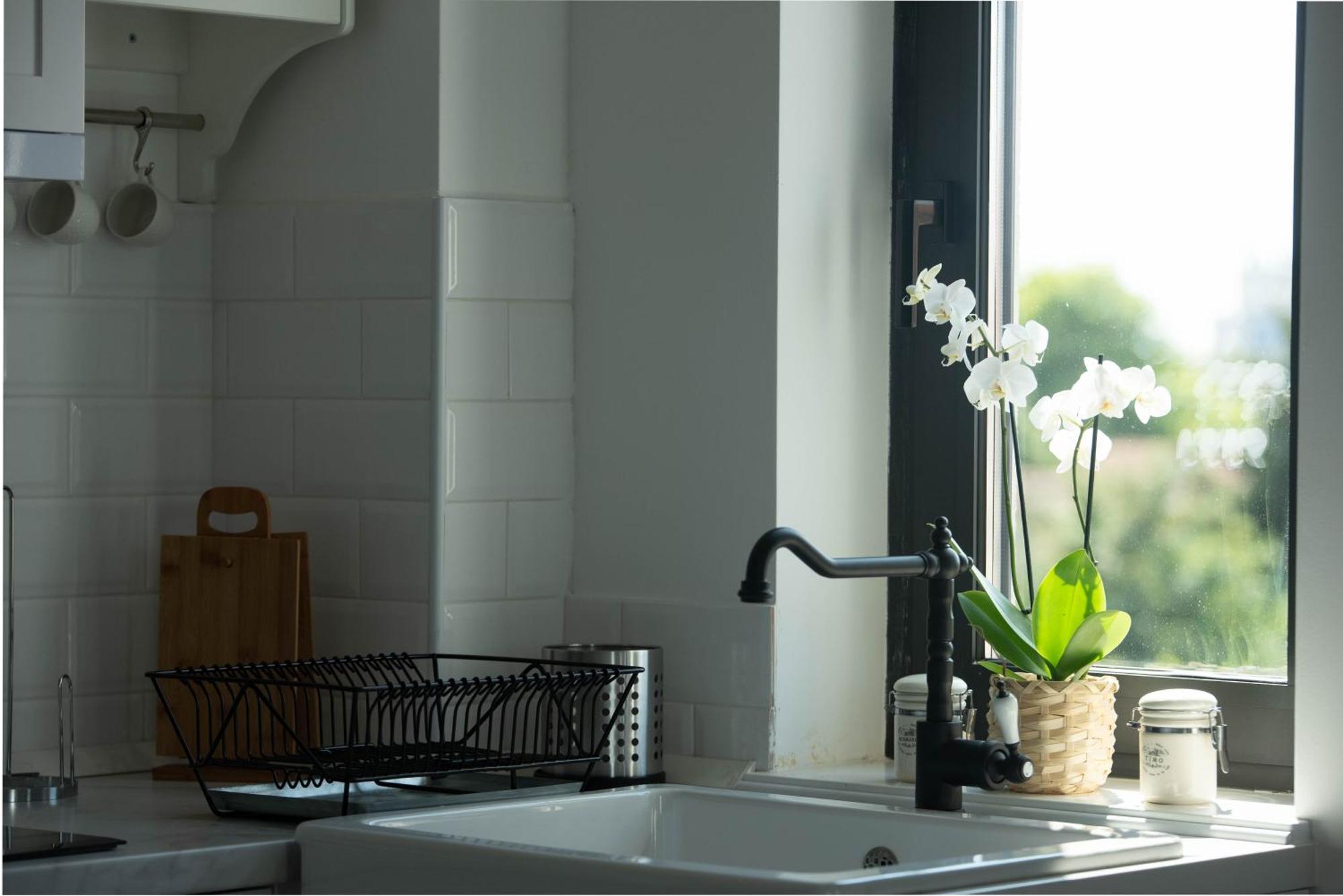Benvenuti Apartments بلغراد المظهر الخارجي الصورة